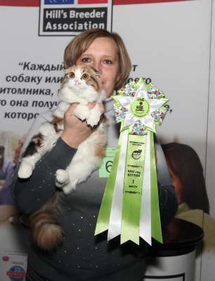Выставка кошек 'Осенний Кэт-Салон' 30 ноября-1 декабря 2013., WCF-ринги 3081